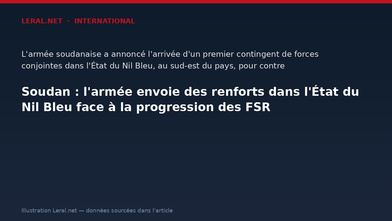 Soudan : l'armée envoie des renforts dans l'État du Nil Bleu face à la progression des FSR
