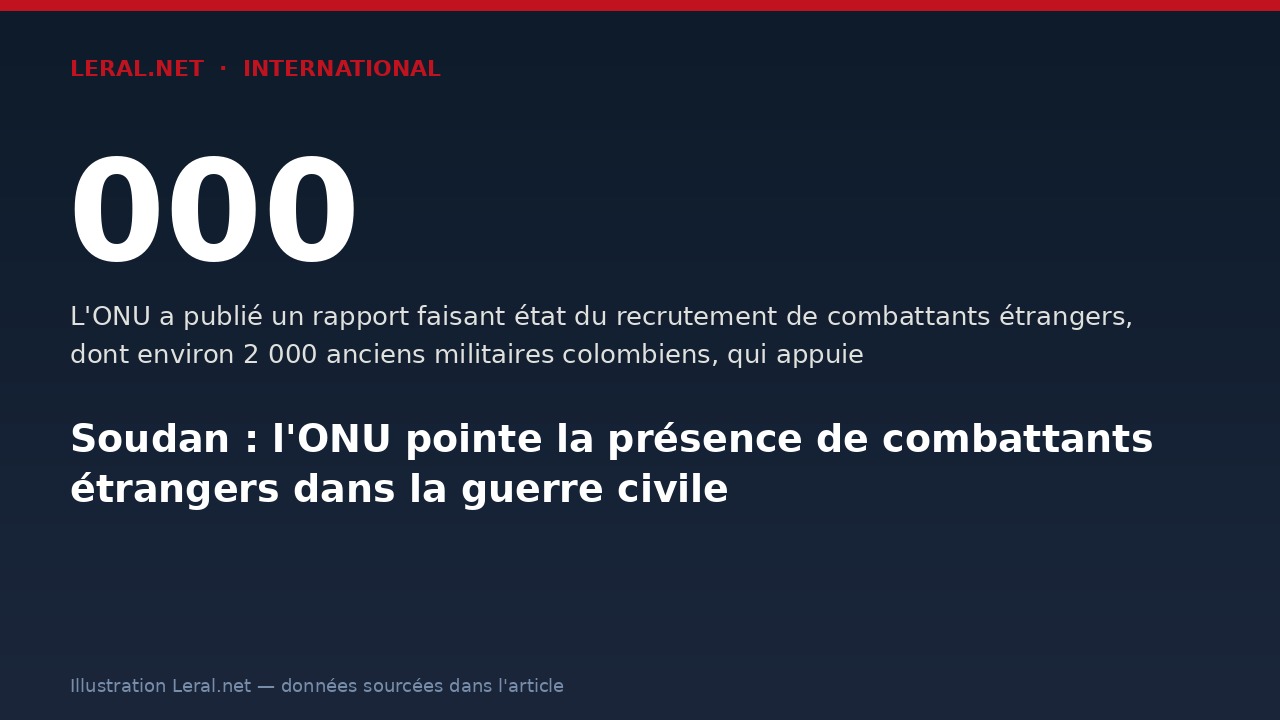 Soudan : l'ONU pointe la présence de combattants étrangers dans la guerre civile
