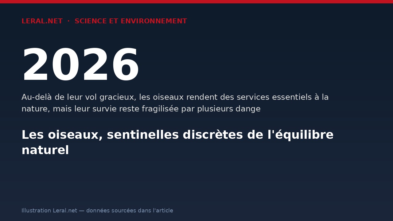 Les oiseaux, sentinelles discrètes de l'équilibre naturel