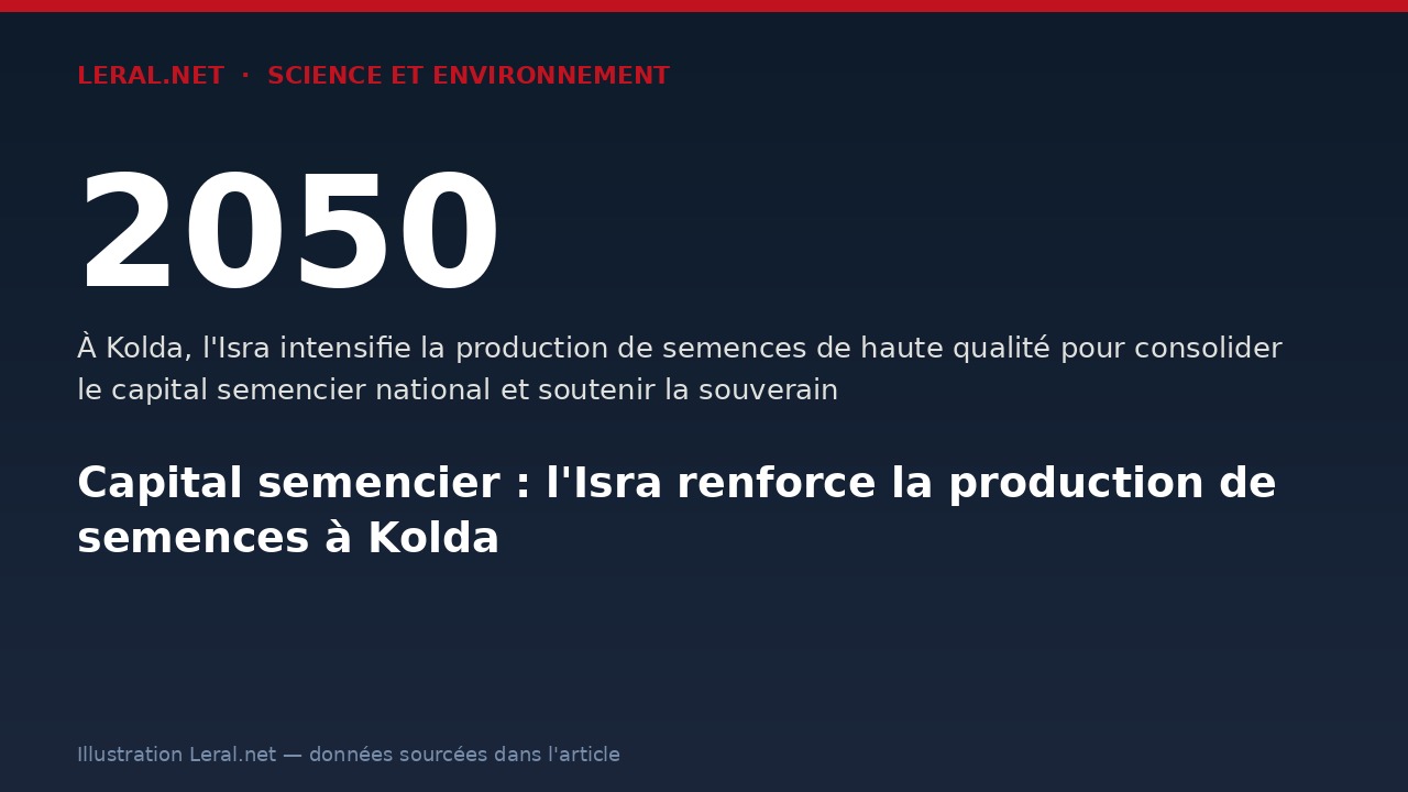 Capital semencier : l'Isra renforce la production de semences à Kolda