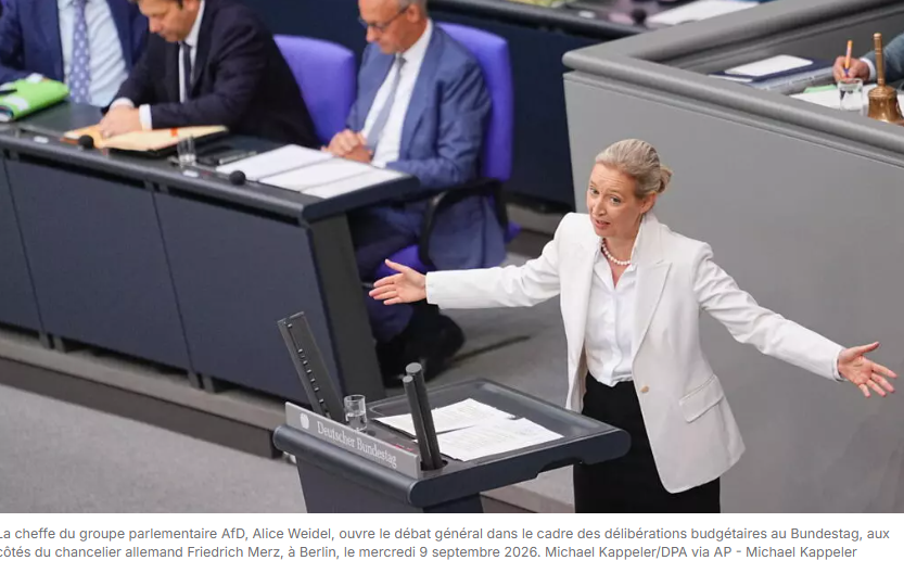 Allemagne: passe d'armes au Bundestag entre Merz et l'AfD en position de force