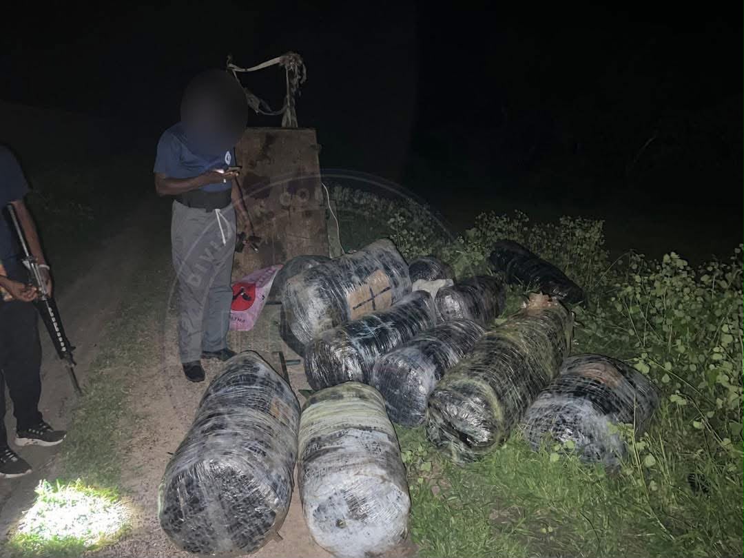 Mbodiène : six individus armés de machettes prennent la fuite, 375 kg de chanvre saisis