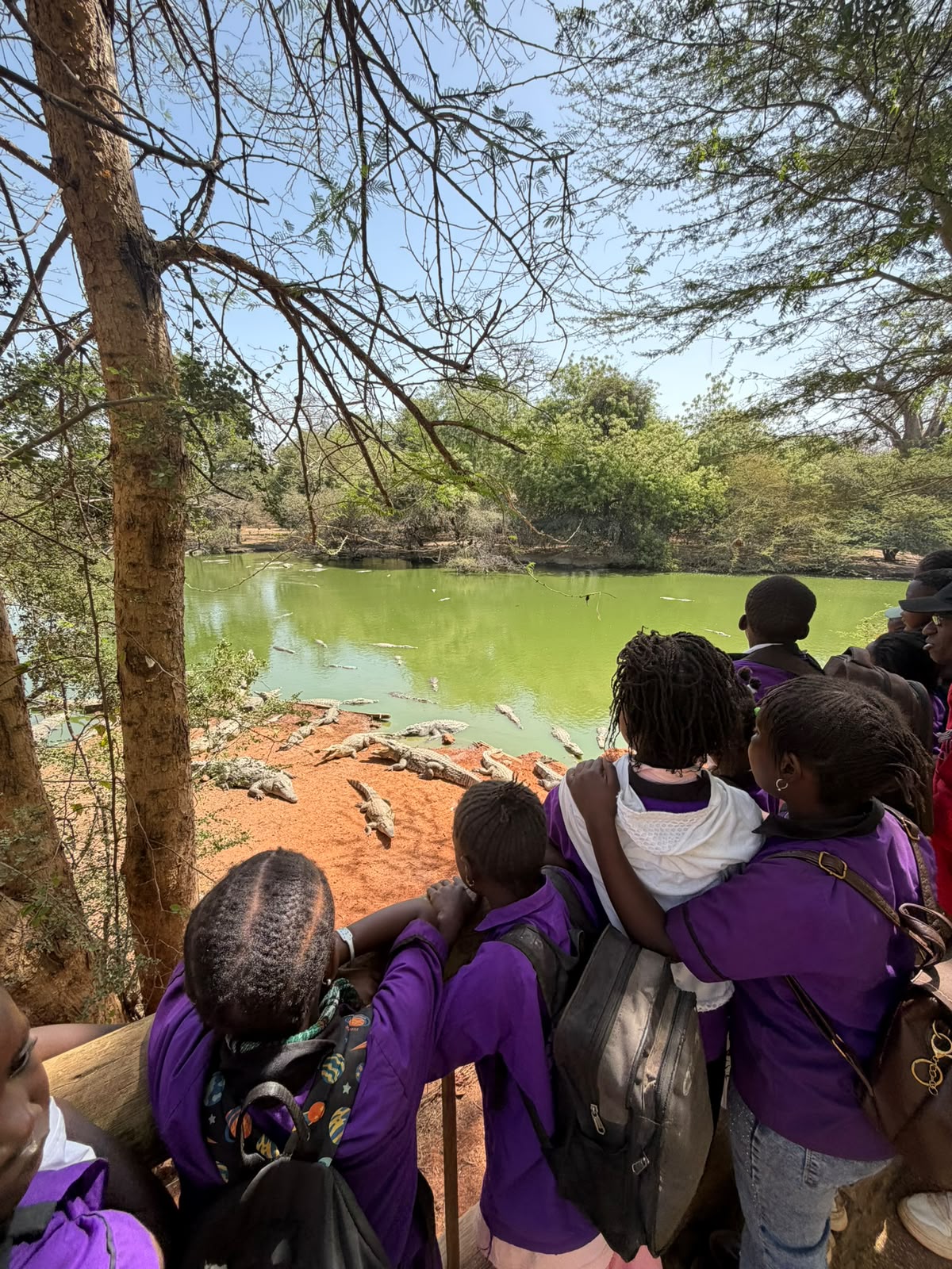 À Saly Koulang, le Baobab des Merveilles œuvre pour l’éducation de 144 élèves