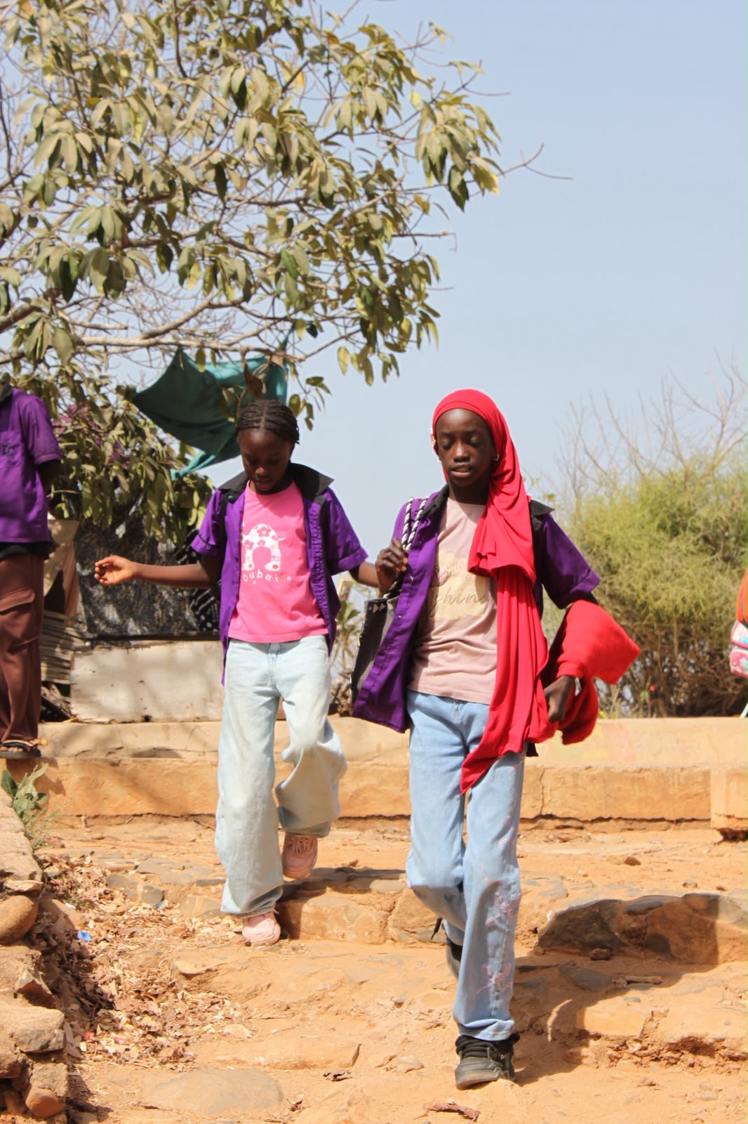 À Saly Koulang, le Baobab des Merveilles œuvre pour l’éducation de 144 élèves