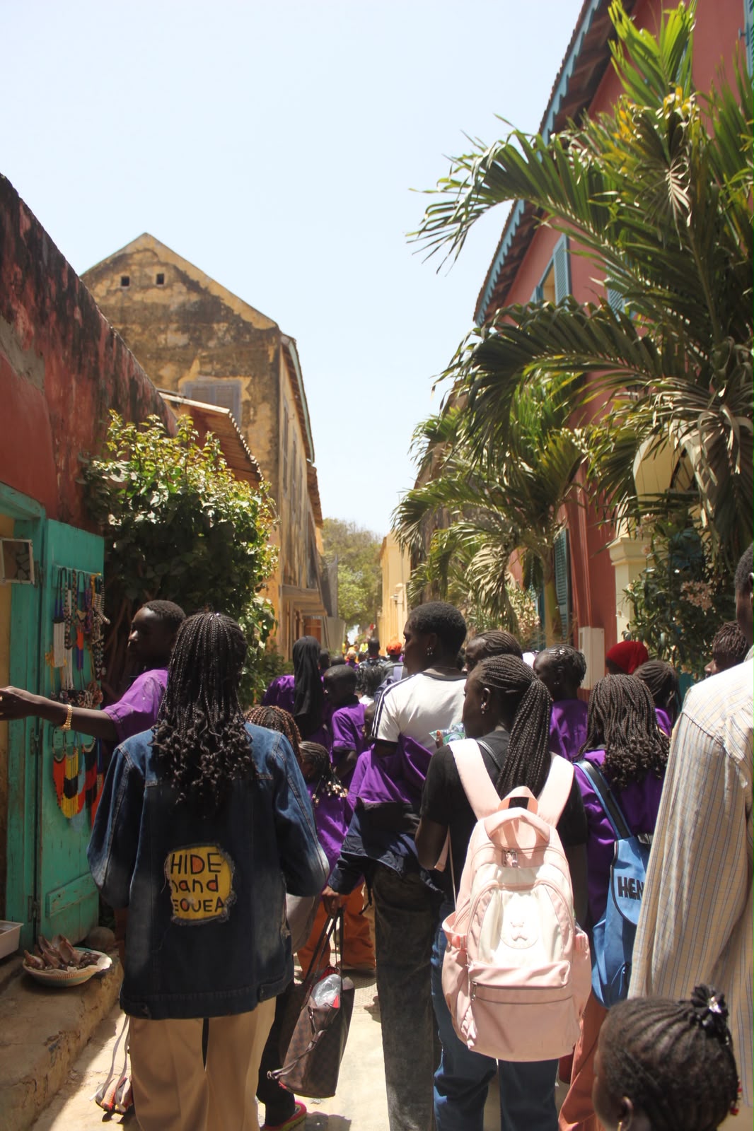 À Saly Koulang, le Baobab des Merveilles œuvre pour l’éducation de 144 élèves