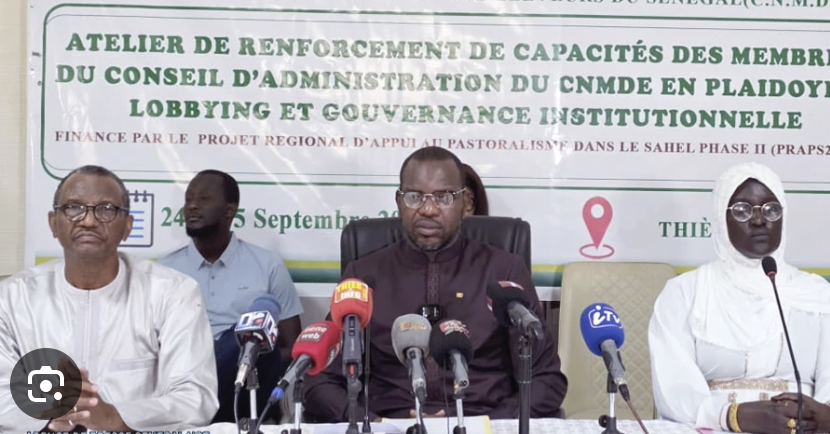 Elevage : le ministre Ousmane Diagne plaide pour des organisations d'éleveurs plus fortes