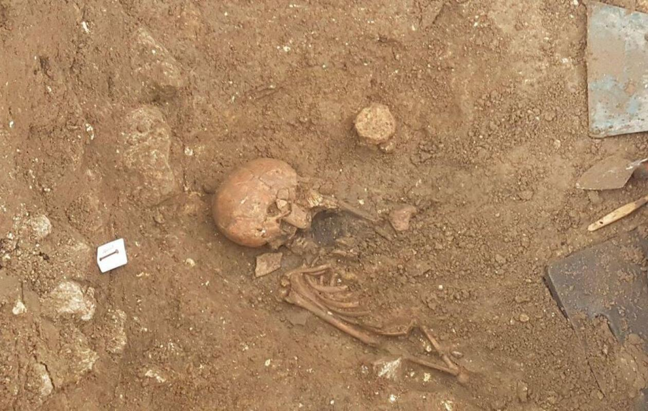 Ossements retrouvés près du palais : le médecin légiste privilégie une mort naturelle