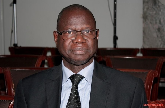 Kolda : Augustin Tine annonce une vaste opération contre les trafiquants de bois