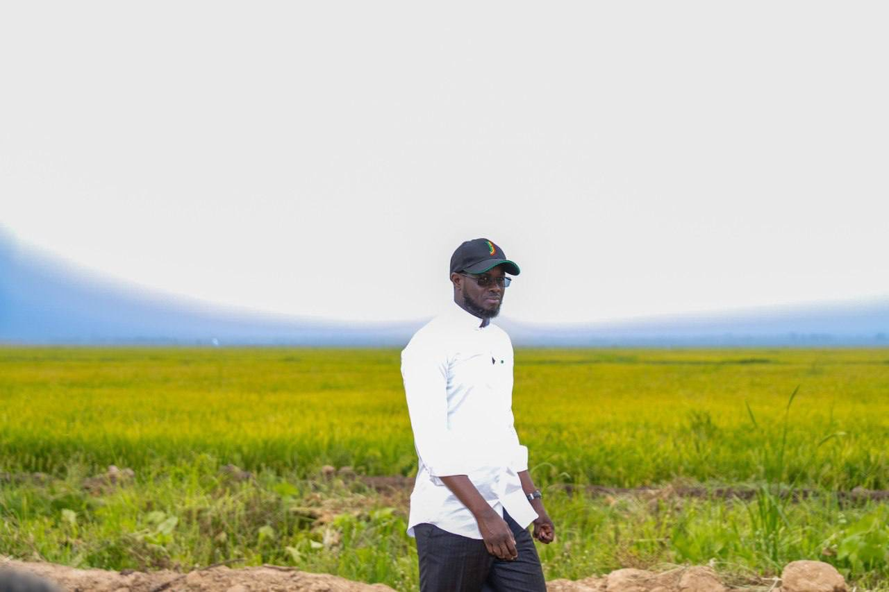 Campagne agricole : Diomaye Faye presse le Gouvernement d’accélérer les préparatifs