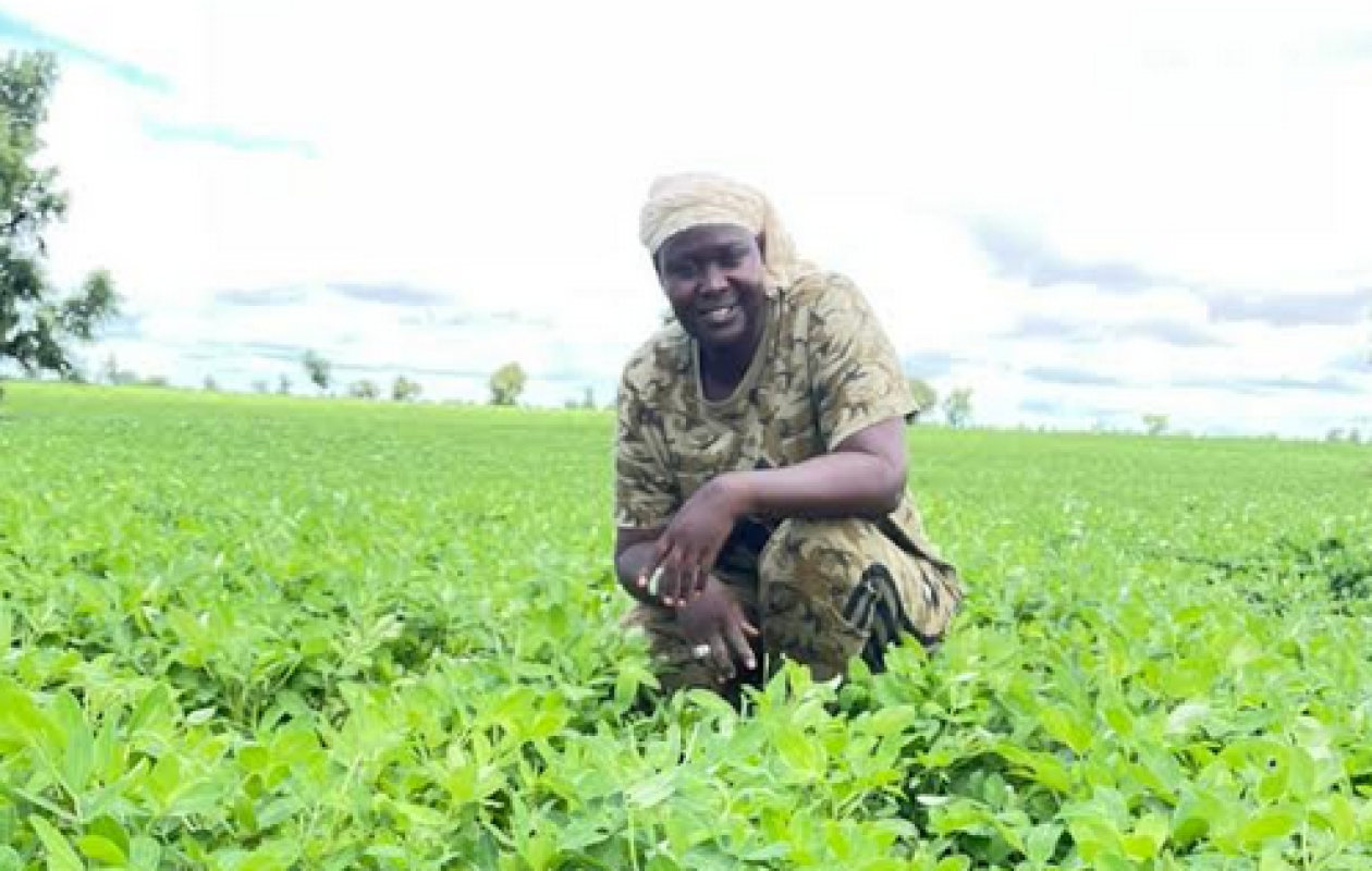Amy Ndiaye 'Gniby' : de l'hémicycle aux champs du Ndoucoumane