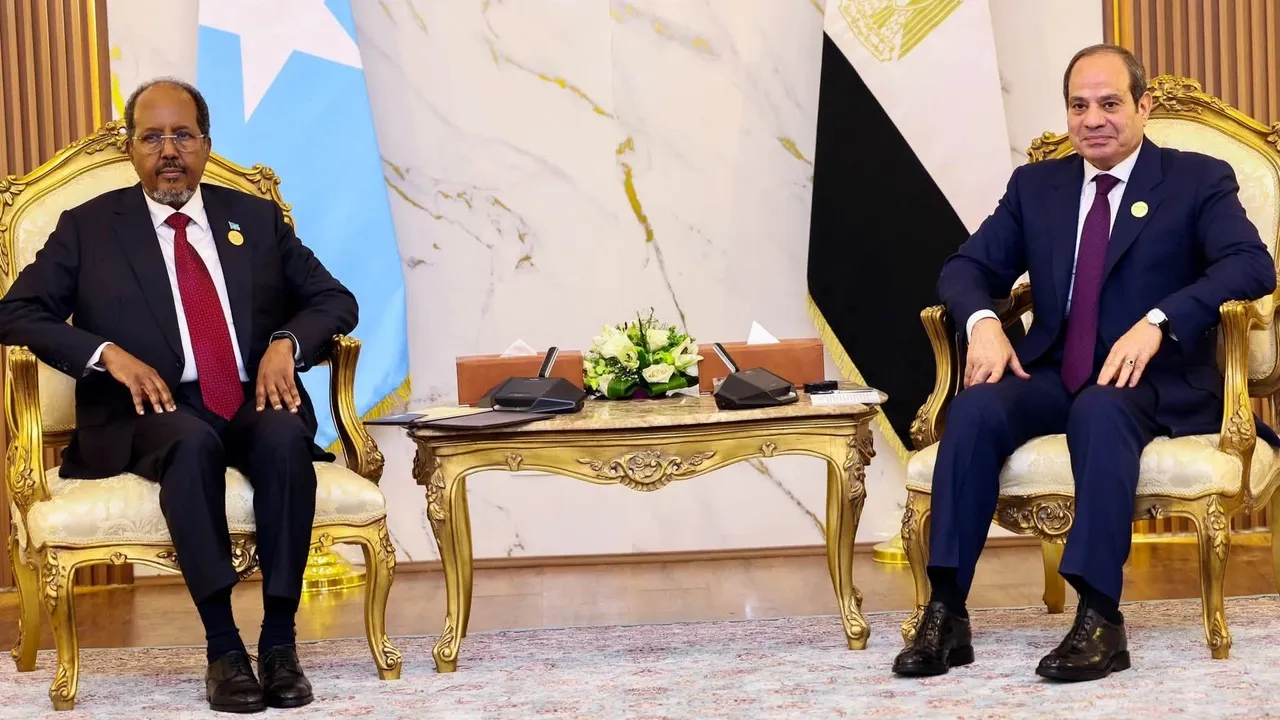 Corne de l'Afrique : l'Égypte, le Soudan, l'Érythrée et la Somalie plaident pour une résolution pacifique des tensions avec l'Éthiopie