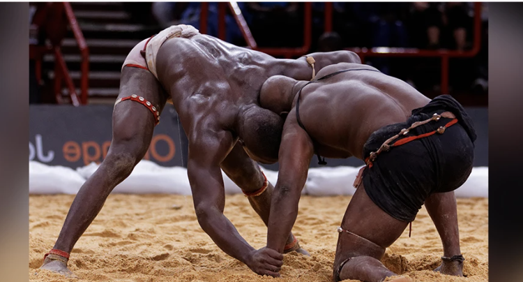 La lutte sénégalaise aux Jeux olympiques, une histoire d'adaptation depuis 1972