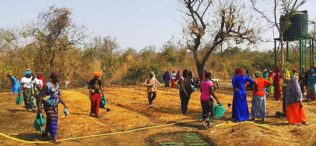 Tomboronkoto : la population face au dilemme de la relocalisation pour l'exploitation aurifère