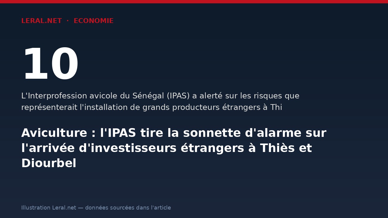 Aviculture : l'IPAS tire la sonnette d'alarme sur l'arrivée d'investisseurs étrangers à Thiès et Diourbel