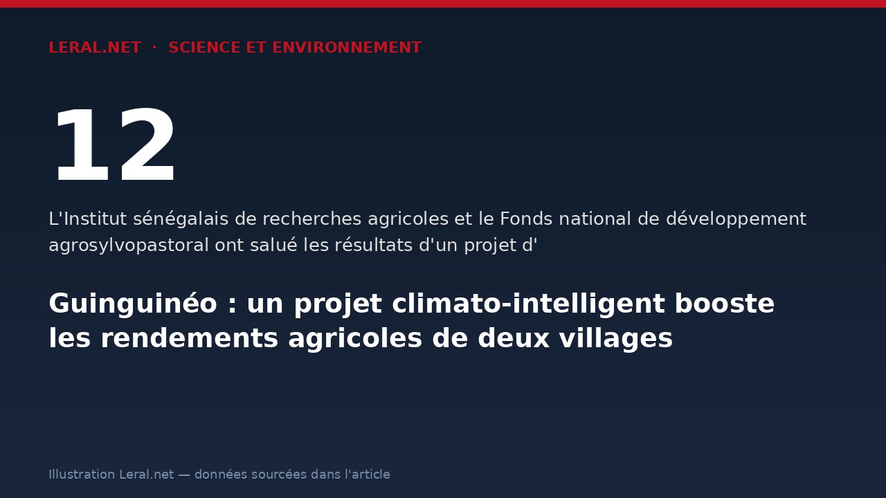Guinguinéo : un projet climato-intelligent booste les rendements agricoles de deux villages