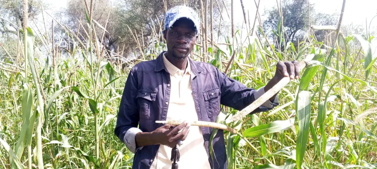 Riz de plateau : Andel Kitane, une figure de la filière dans le Saloum