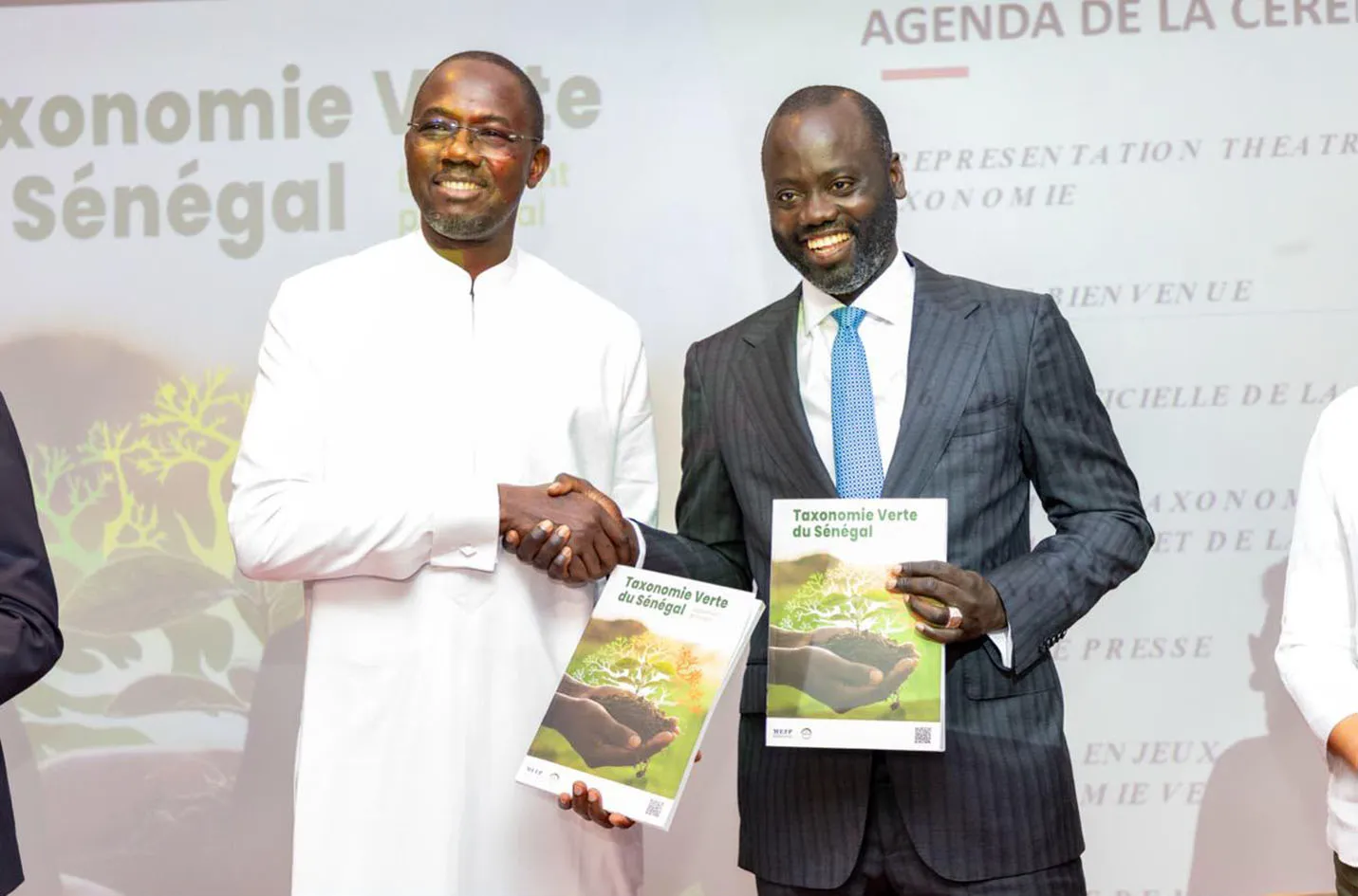Le Sénégal se dote d'une taxonomie verte pour ses projets stratégiques