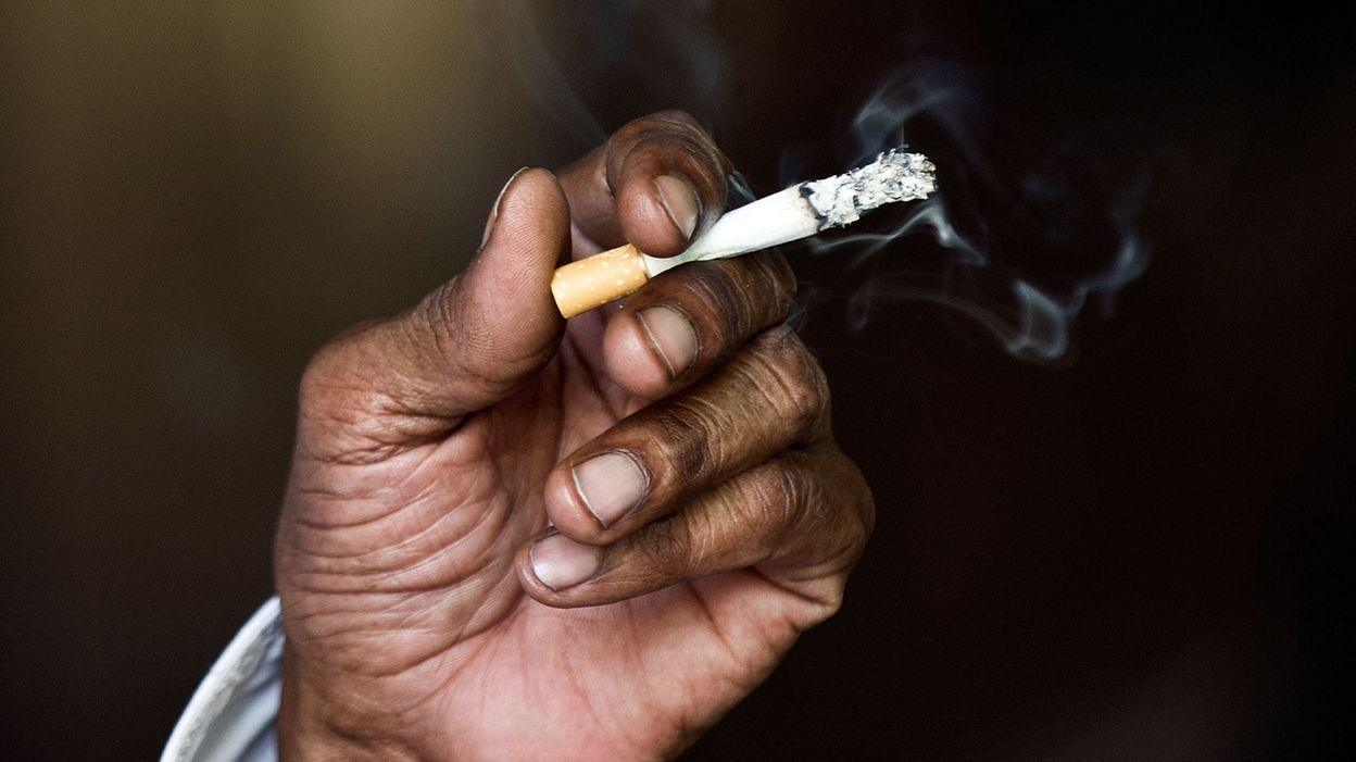Tabac : le Sénégal se dote d'un tableau de bord national des données