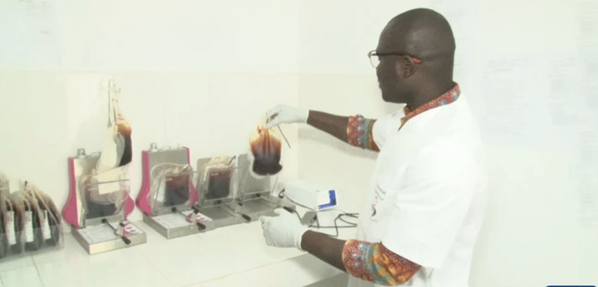Kaolack : près de 8 000 poches de sang collectées en dix mois par le Centre régional de transfusion sanguine
