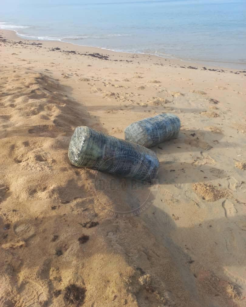 Nianing : la gendarmerie saisit 205 kg de chanvre indien sur une plage