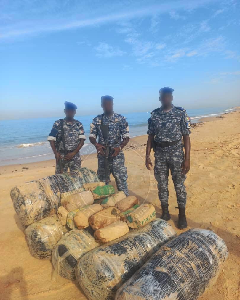 Nianing : la gendarmerie saisit 205 kg de chanvre indien sur une plage