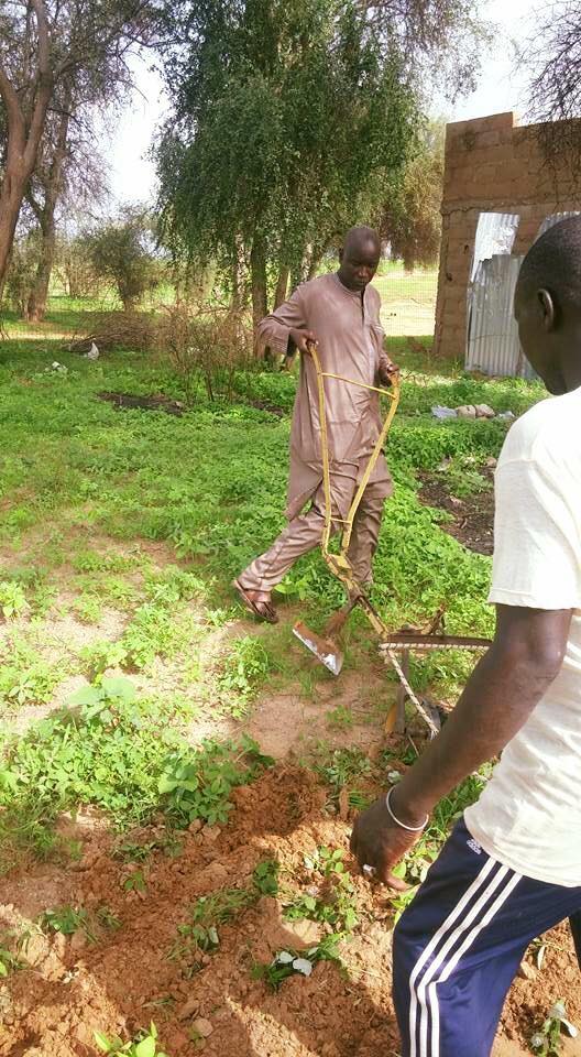 Les photos du ministre Aly Ngouille Ndiaye diversement appréciées sur la toile