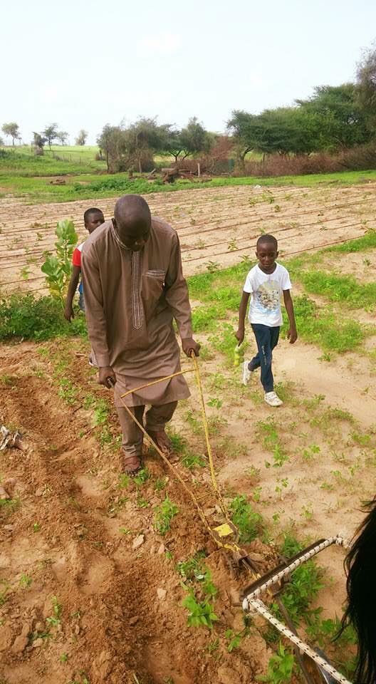 Les photos du ministre Aly Ngouille Ndiaye diversement appréciées sur la toile