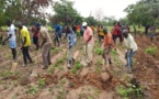 Bignona : Le président Mamina Kamara et Mamadou Lamine Keïta deviennent des "cultivateurs"