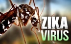 Eva Marie Coll Seck sur le virus Zika : « Il faut que nous soyons prêts car ces maladies sont présentes dans les pays voisins »