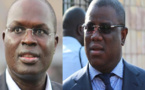 Eléction des membres du Hcct : Le Pds s'allie avec Khalifa et Baldé