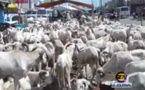 Tabaski 2016 - Pénurie de moutons : Les "dibiteries" indexées