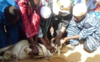 Contribution : Désormais la S.P.A interdit aux Sénégalais de tuer leurs moutons avec un couteau le jour de la tabaski