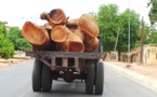 Sénégal-Gambie : Yahya Jammeh interdit l'importation de bois venant du Sénégal