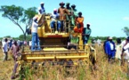 Agriculture : La production de 2015 estimée à cinq millions de tonnes