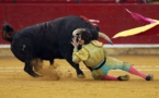 ​Insolite : Le matador encore encorné au même oeil par un taureau de 600 kg, 5 ans après