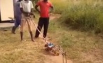 Vidéo: un jeune africain pétri de talent réalise une merveille. Regardez...