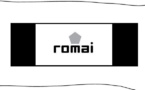 Romai Sports, le nouvel équipementier des Lions.  les Emirats vont habiller les équipes nationales du Sénégal