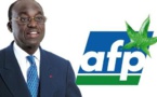 Chers ex camarades de l'AFP fous du roi (Par Docteur Wone)