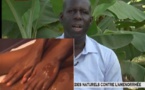 «Mon épouse a l’habitude de jouer avec mes testicules», regardez la réponse de Serigne Samba Ndiaye
