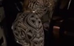 Vidéo: le 'Lembeul' hot de Karina Tavares, regardez!!
