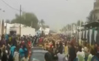 Vidéo: Regardez l'arrivée des bœufs chez Cheikh Béthio à Touba