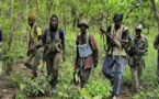 L'aile combattante du MFDC prête à faire respecter l'accalmie à ses éléments armés