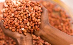 Campagne arachide : Sonacos (ex-SUNEOR) cherche à acheter pas moins de 200 000 tonnes de graines