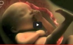 Vidéo incroyable : 9 Mois de grossesse en seulement 4 minutes