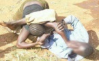 Pikine : Pour un pot de lait caillé, la famille Diop se déchire