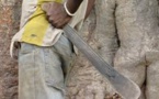 Audio : Il agresse  son oncle à coups de machette à cause d’une promesse d’argent…Ecoutez