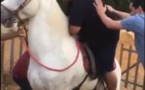 Regardez l'étape fatidique d'un monteur à cheval