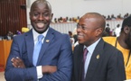 Députés de la diaspora : Ce que la loi prévoit; ce que la politique dissimule (Par Thierno Bocoum)
