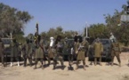 Reddition dans le camp de Boko Haram: une vingtaine de combattants nigériens du groupe jihadiste ont rendu les armes ce mercredi