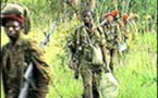 RD Congo : le conflit progresse vers le Sud-Kivu